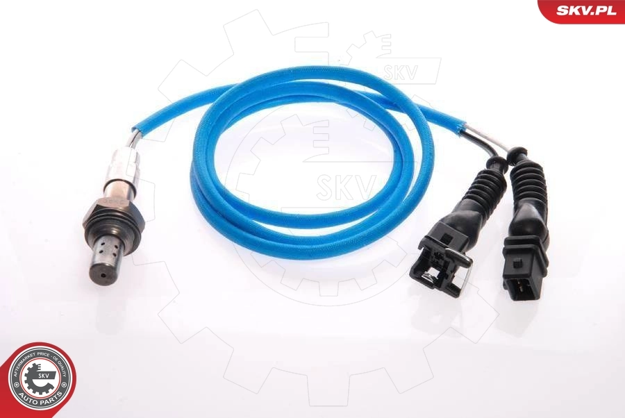 Oxygen Sensor